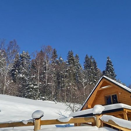 Domek Pod Groniem Mizerna Екстериор снимка